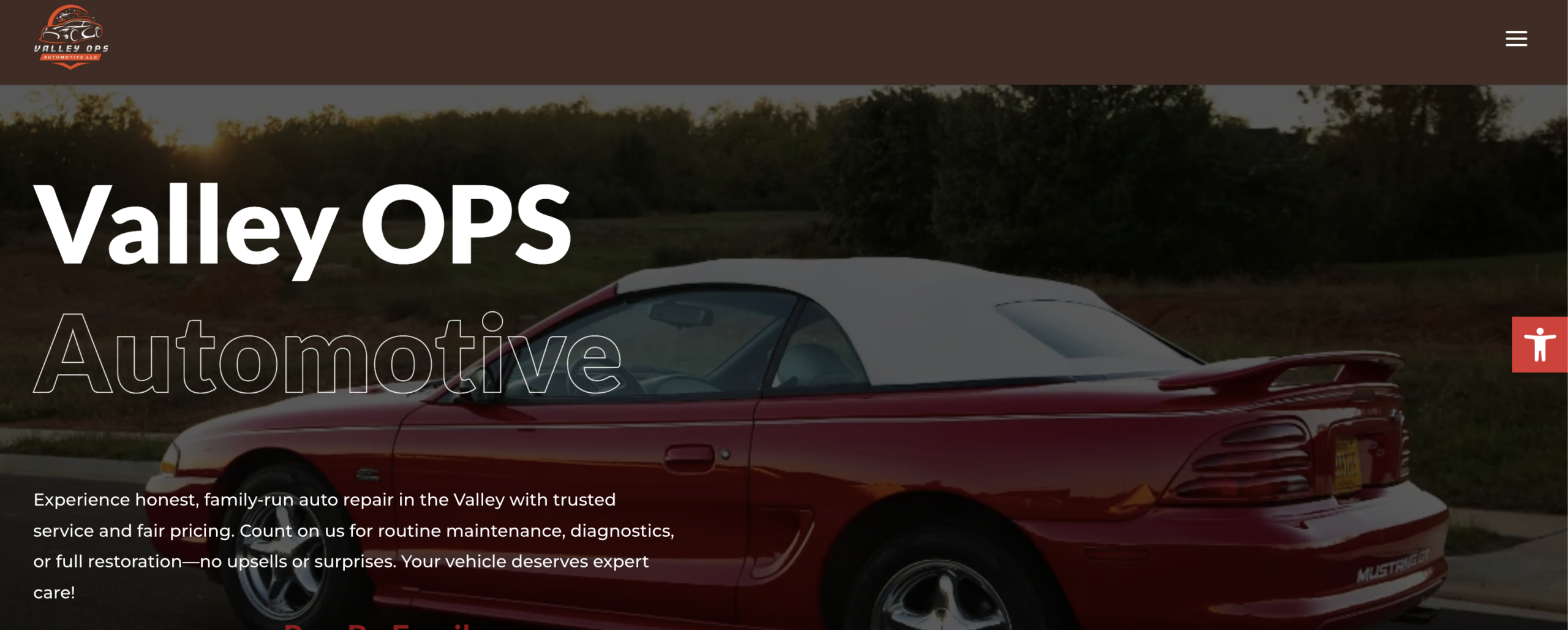 Monticello Pest Solutions website home page image